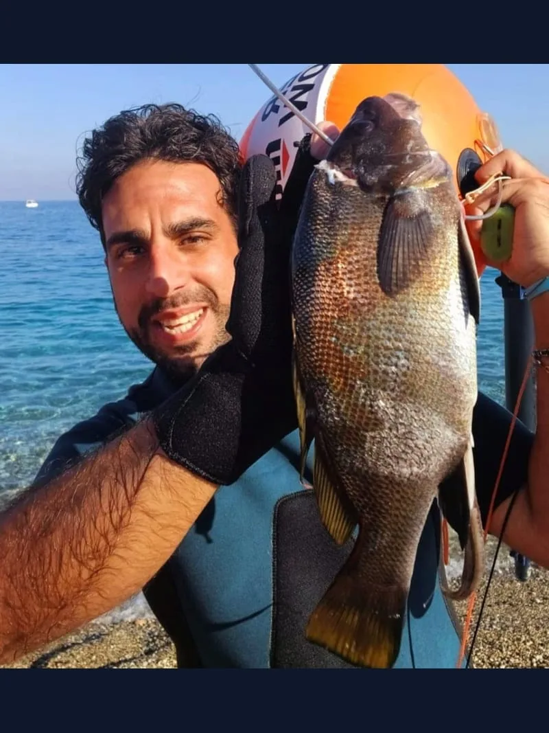 Angelo Faraci — foto 37